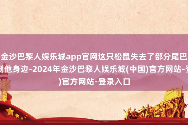金沙巴黎人娱乐城app官网这只松鼠失去了部分尾巴后又回到他身边-2024年金沙巴黎人娱乐城(中国)官方网站-登录入口