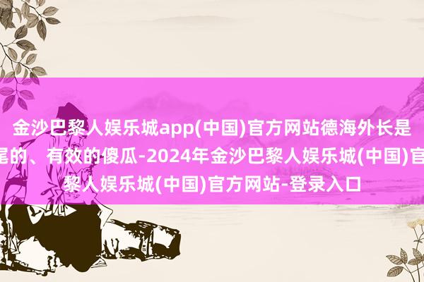 金沙巴黎人娱乐城app(中国)官方网站德海外长是这样一个重新至尾的、有效的傻瓜-2024年金沙巴黎人娱乐城(中国)官方网站-登录入口