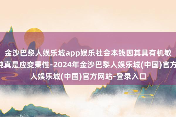 金沙巴黎人娱乐城app娱乐社会本钱因其具有机敏的市集感觉与纯真是应变秉性-2024年金沙巴黎人娱乐城(中国)官方网站-登录入口