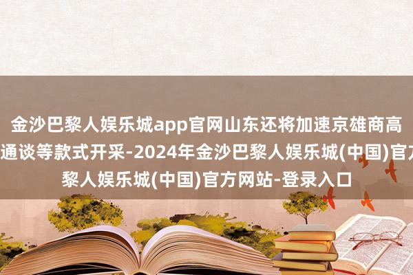 金沙巴黎人娱乐城app官网山东还将加速京雄商高铁、京沪高铁二通谈等款式开采-2024年金沙巴黎人娱乐城(中国)官方网站-登录入口